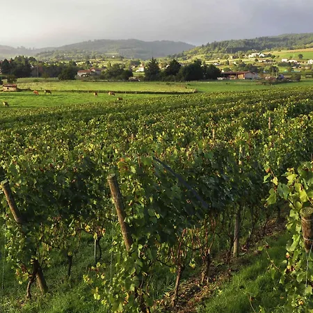 ホテル メルキュール ロデ カテドラル 4*