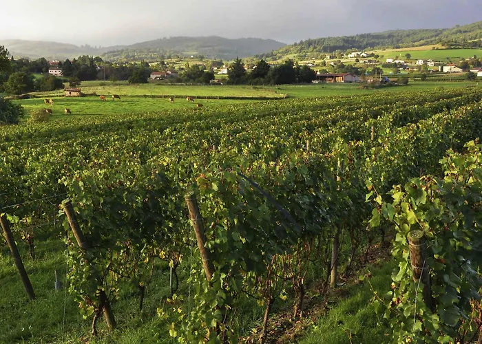 Hotel Mercure Cathédrale 4*